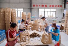 市已构成50余家竹加工企业集群